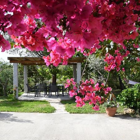 Bed and Breakfast Bent'E Mari Girasole Exterior foto