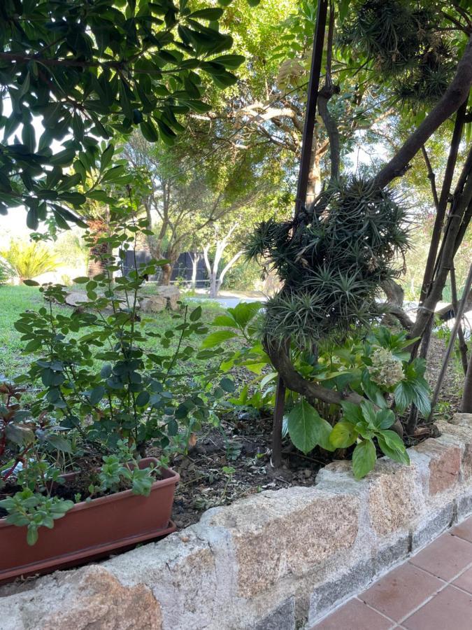 Bed and Breakfast Bent'E Mari Girasole Exterior foto