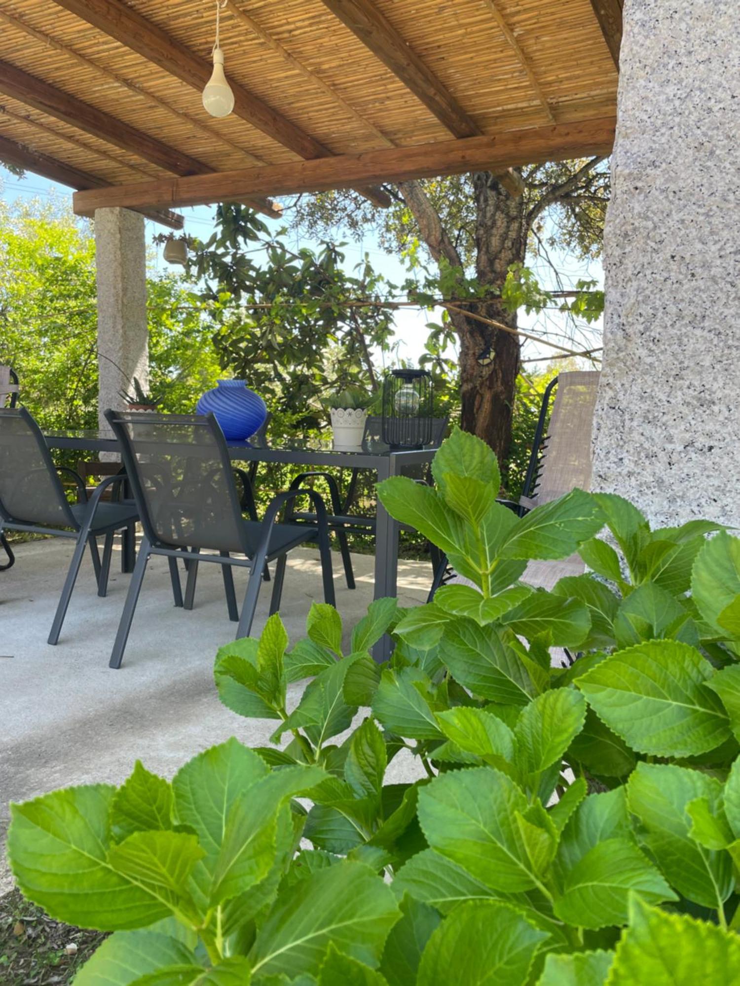 Bed and Breakfast Bent'E Mari Girasole Exterior foto